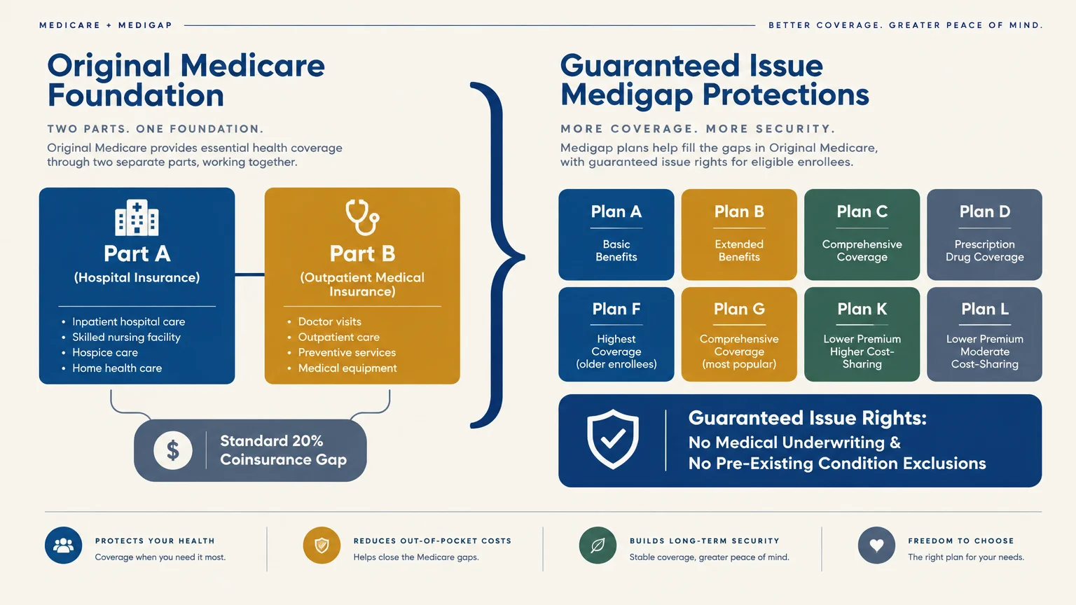 Diagram showing Original Medicare Parts A and B, a coinsurance gap, and Medigap plan options with guaranteed issue rights.