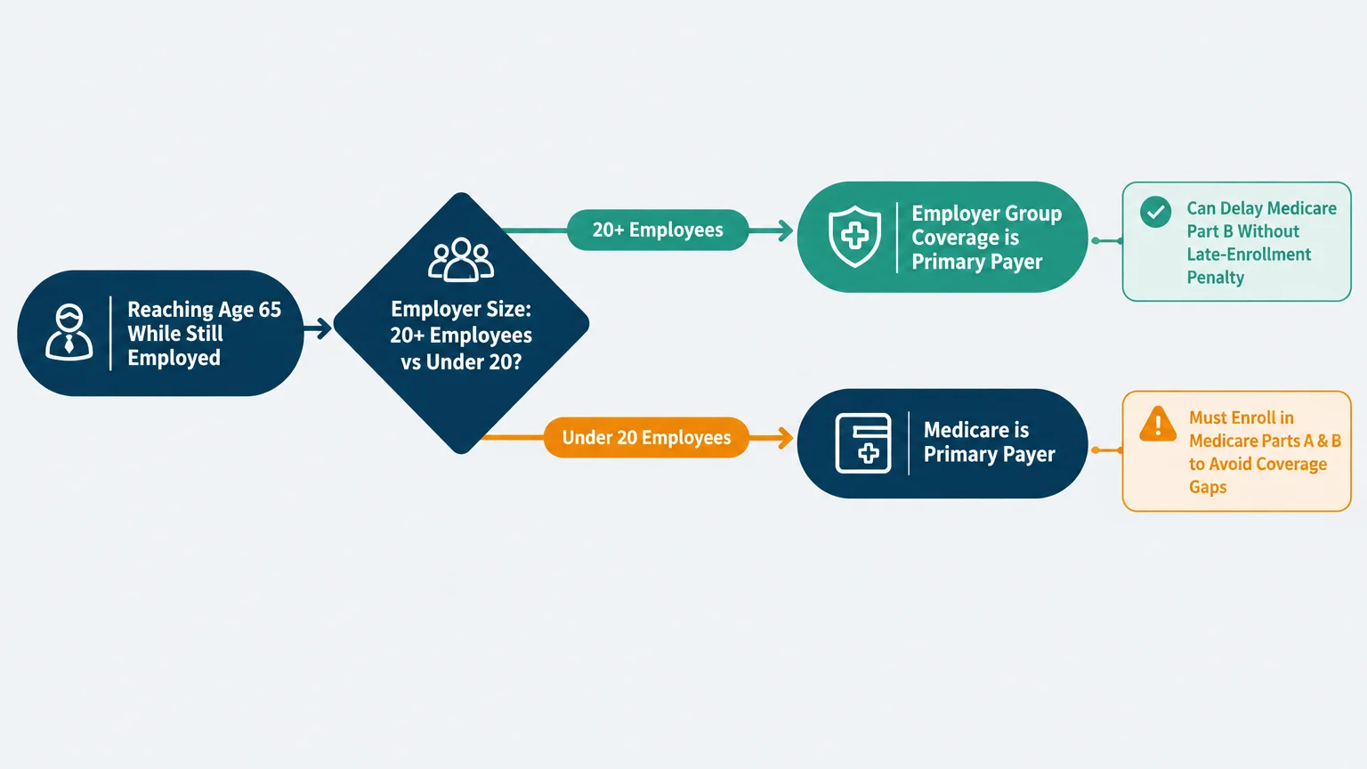 Flowchart comparing Medicare enrollment rules for employees reaching age 65 based on whether an employer has 20+ workers.
